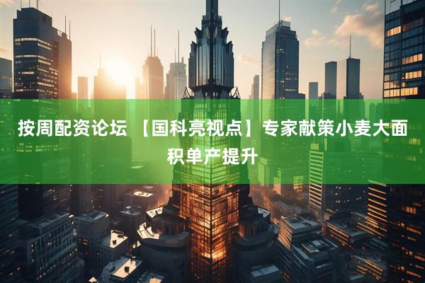 按周配资论坛 【国科亮视点】专家献策小麦大面积单产提升