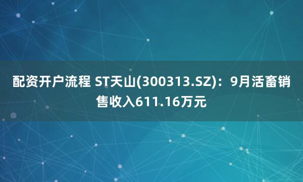 配资开户流程 ST天山(300313.SZ)：9月活畜销售收入611.16万元