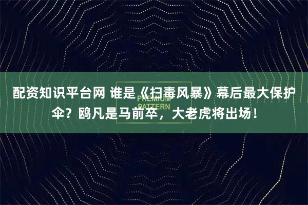 配资知识平台网 谁是《扫毒风暴》幕后最大保护伞？鸥凡是马前卒，大老虎将出场！